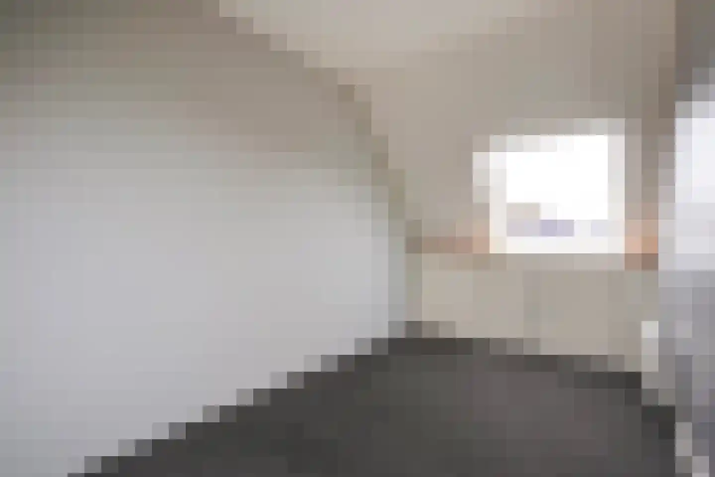 Lisdodde 13 Maasland thumbnail 51
