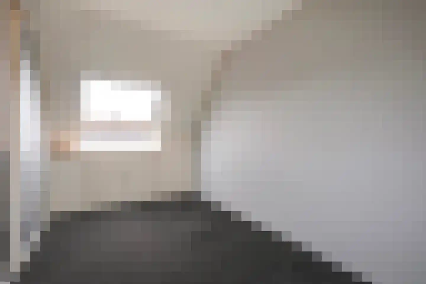 Lisdodde 13 Maasland thumbnail 53