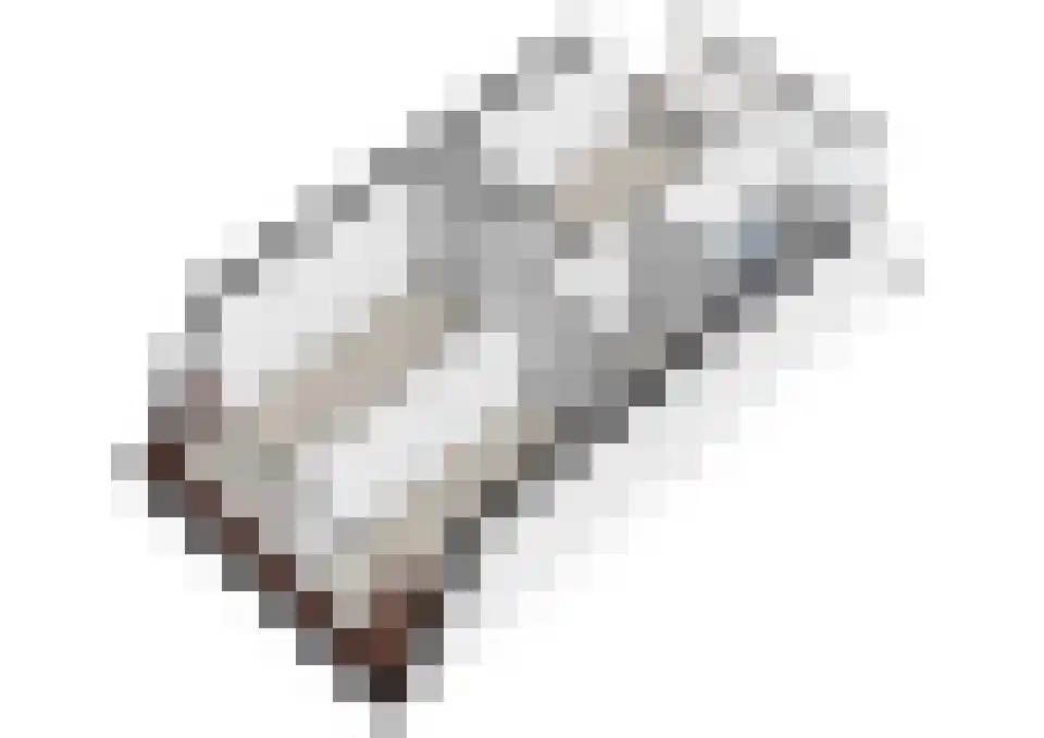 Lisdodde 13 Maasland thumbnail 54