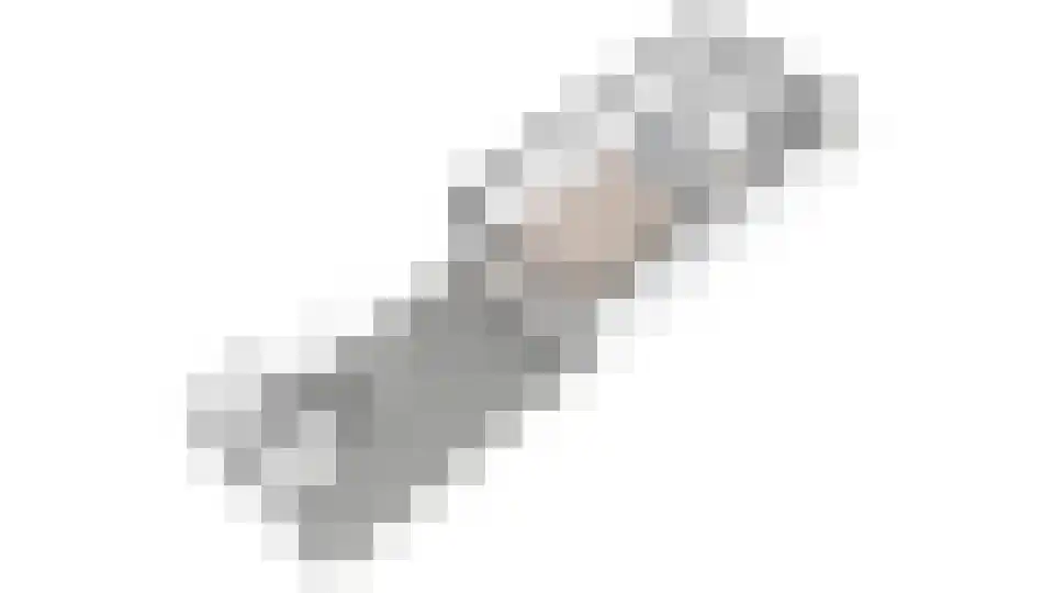 Lisdodde 13 Maasland thumbnail 60