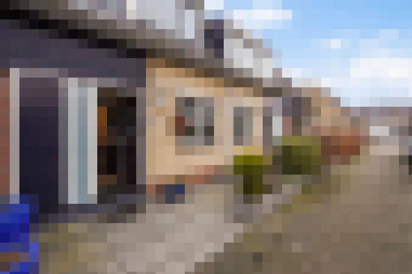 Lisdodde 13 Maasland thumbnail 7