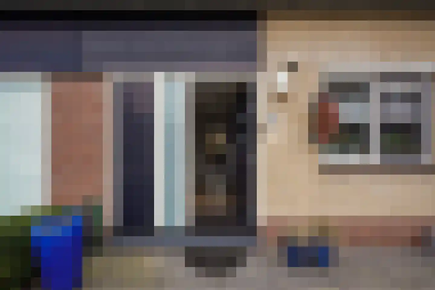 Lisdodde 13 Maasland thumbnail 8