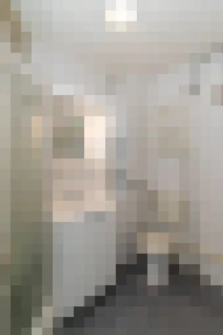 Lisdodde 14 Almelo thumbnail 11