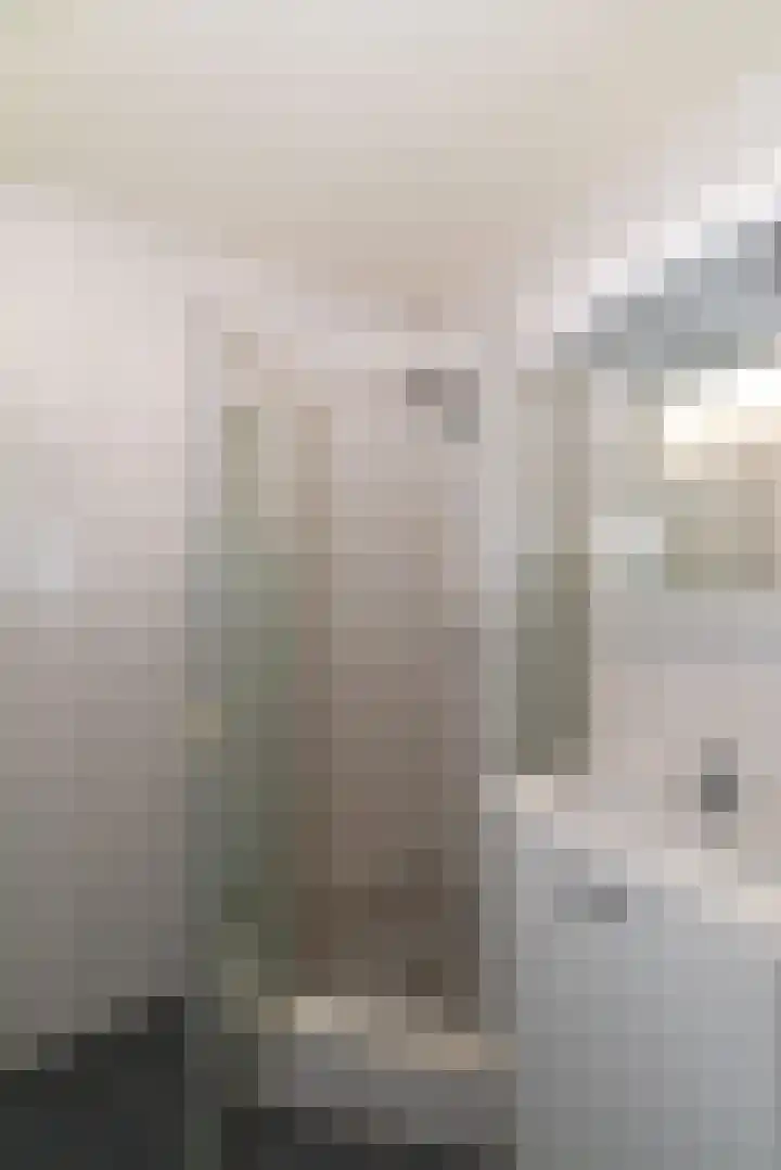 Lisdodde 14 Almelo thumbnail 12