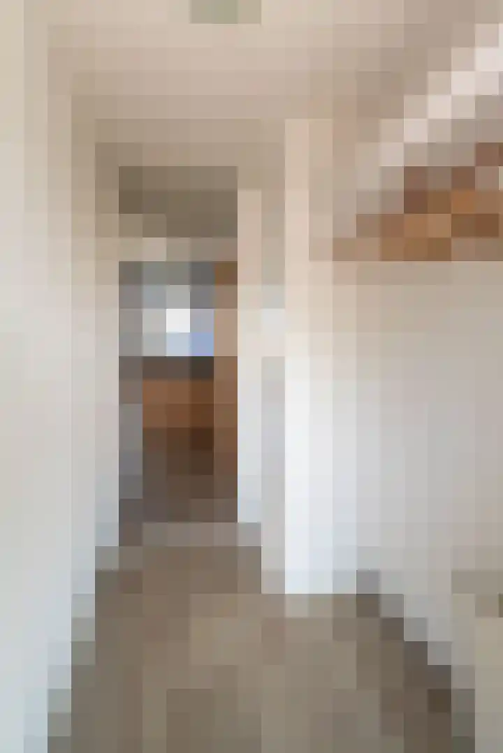 Lisdodde 14 Almelo thumbnail 13