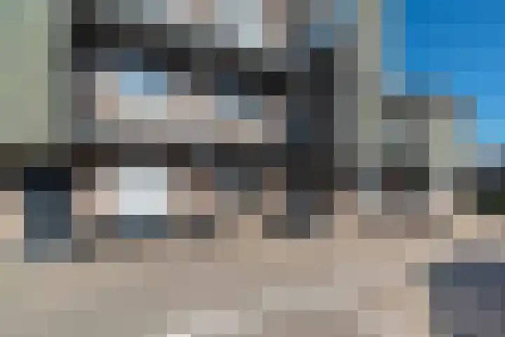 Lisdodde 14 Almelo thumbnail 16