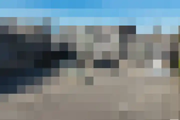 Lisdodde 14 Almelo thumbnail 17