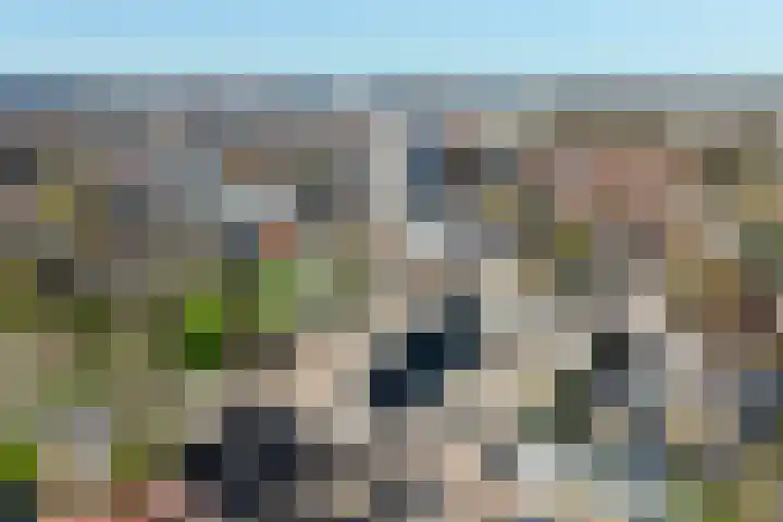 Lisdodde 14 Almelo thumbnail 18