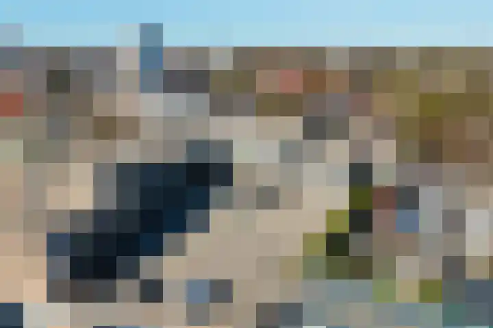 Lisdodde 14 Almelo thumbnail 19