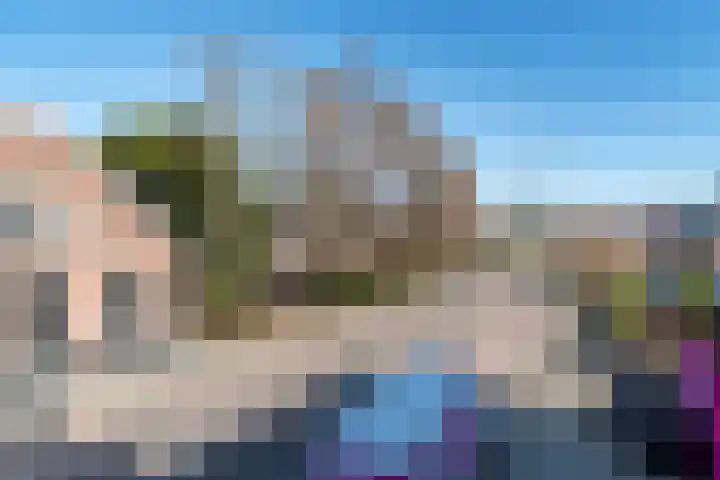 Lisdodde 14 Almelo thumbnail 20