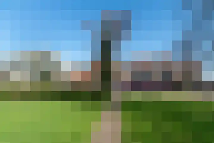 Lisdodde 14 Almelo thumbnail 22
