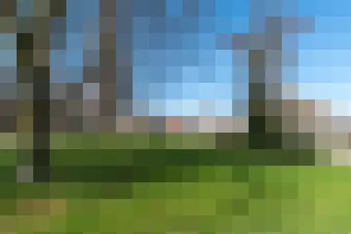 Lisdodde 14 Almelo thumbnail 23