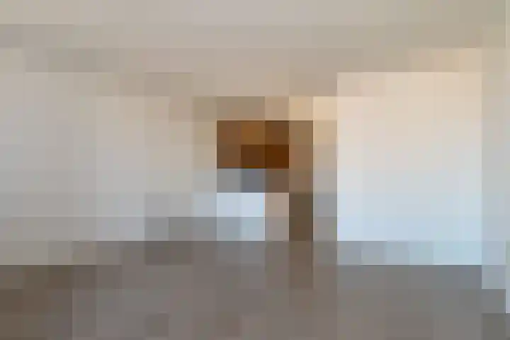 Lisdodde 14 Almelo thumbnail 4