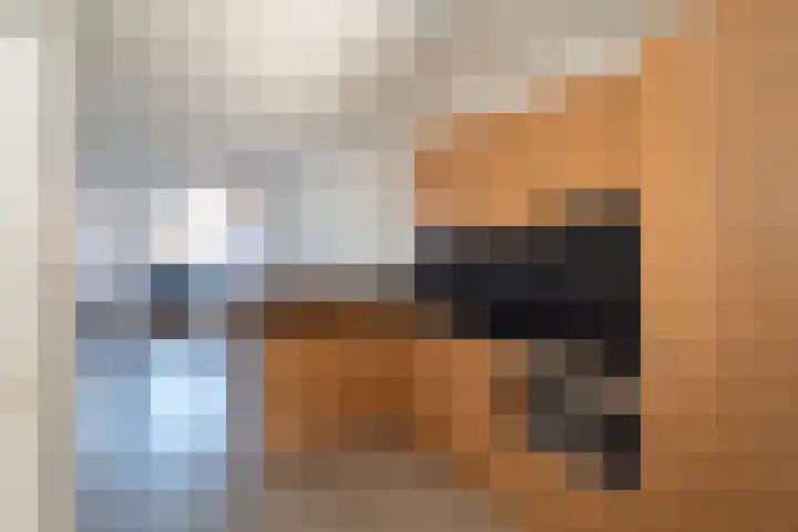 Lisdodde 14 Almelo thumbnail 8
