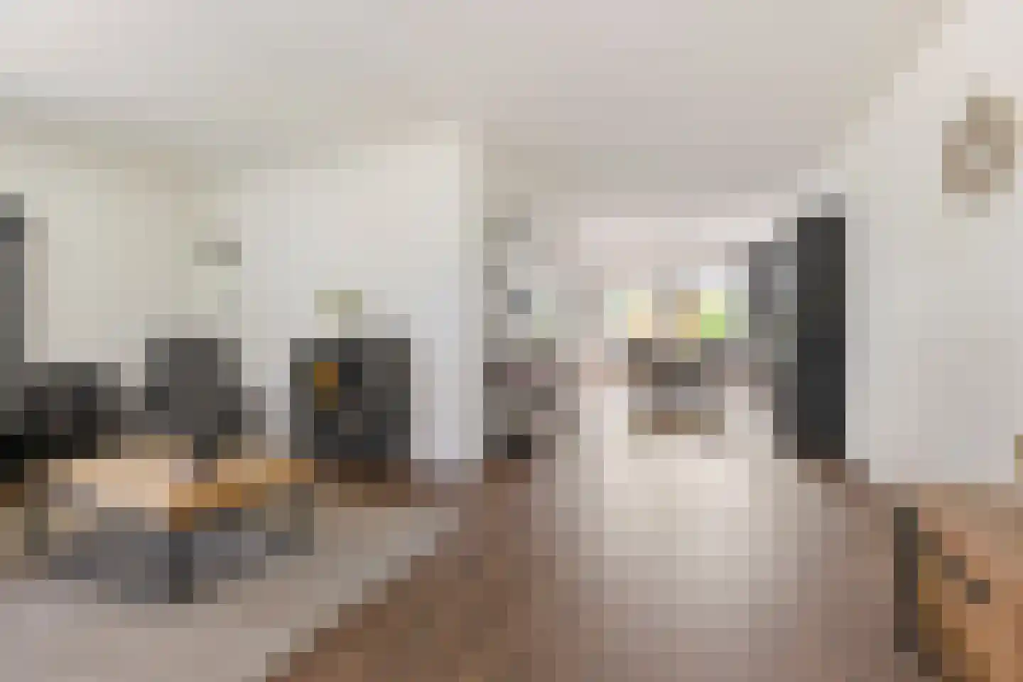 Lisdodde 14 Zuidhorn thumbnail 10