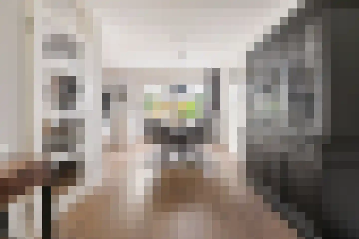 Lisdodde 14 Zuidhorn thumbnail 11