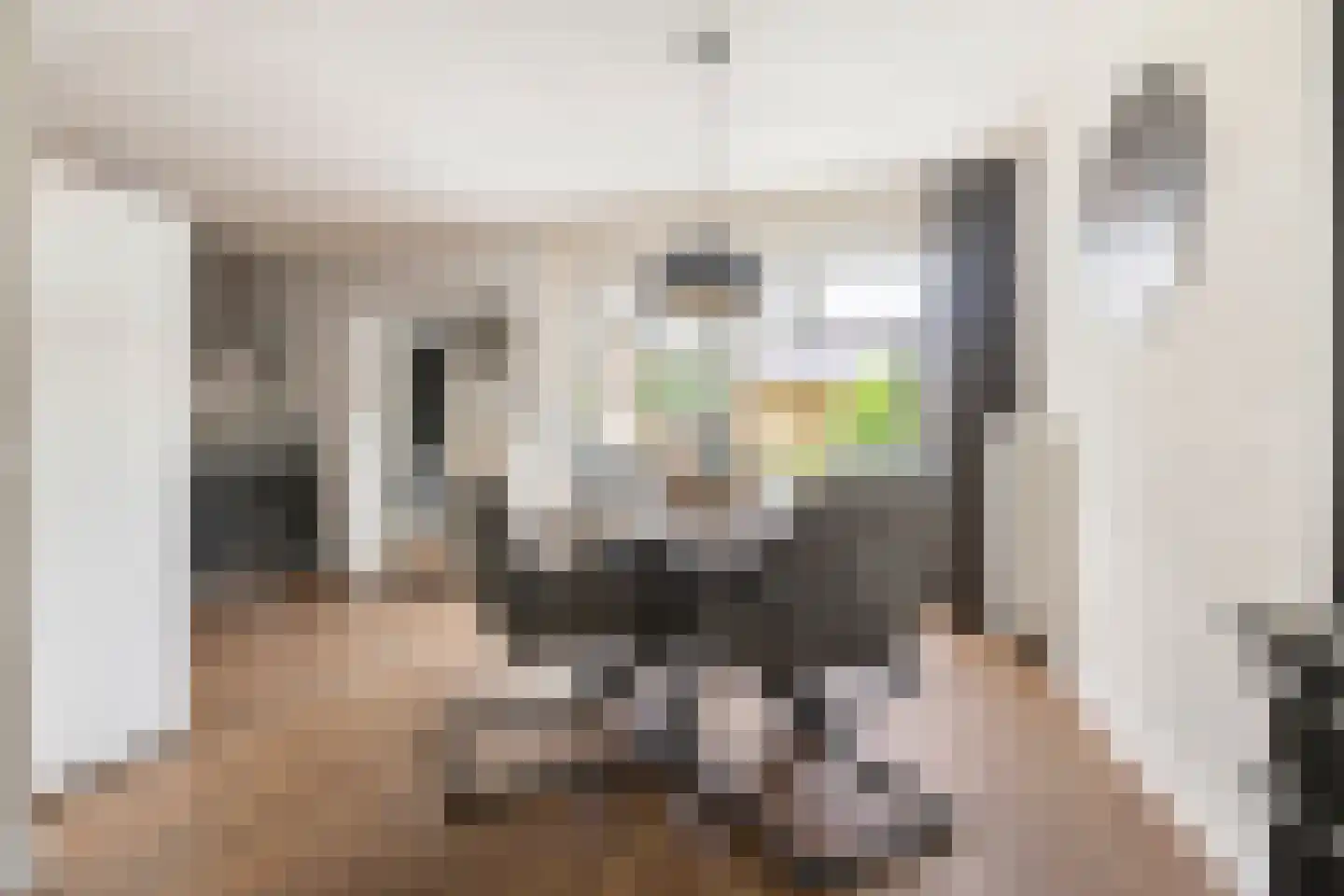 Lisdodde 14 Zuidhorn thumbnail 12