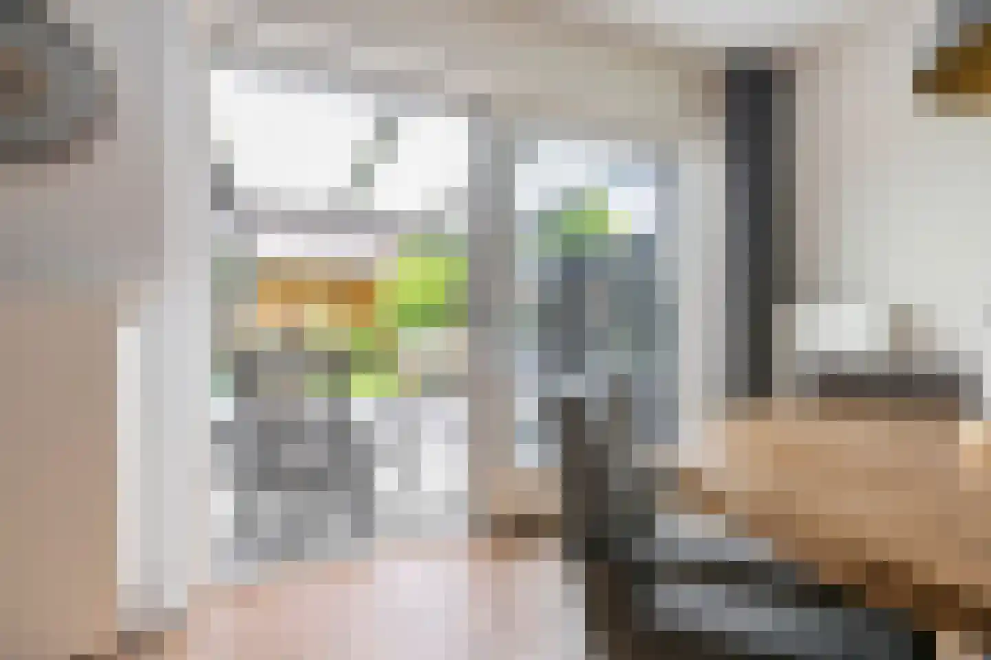 Lisdodde 14 Zuidhorn thumbnail 13
