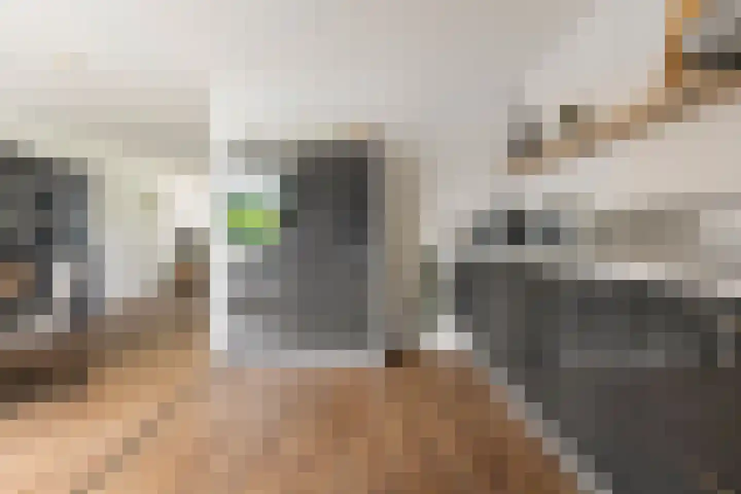 Lisdodde 14 Zuidhorn thumbnail 16