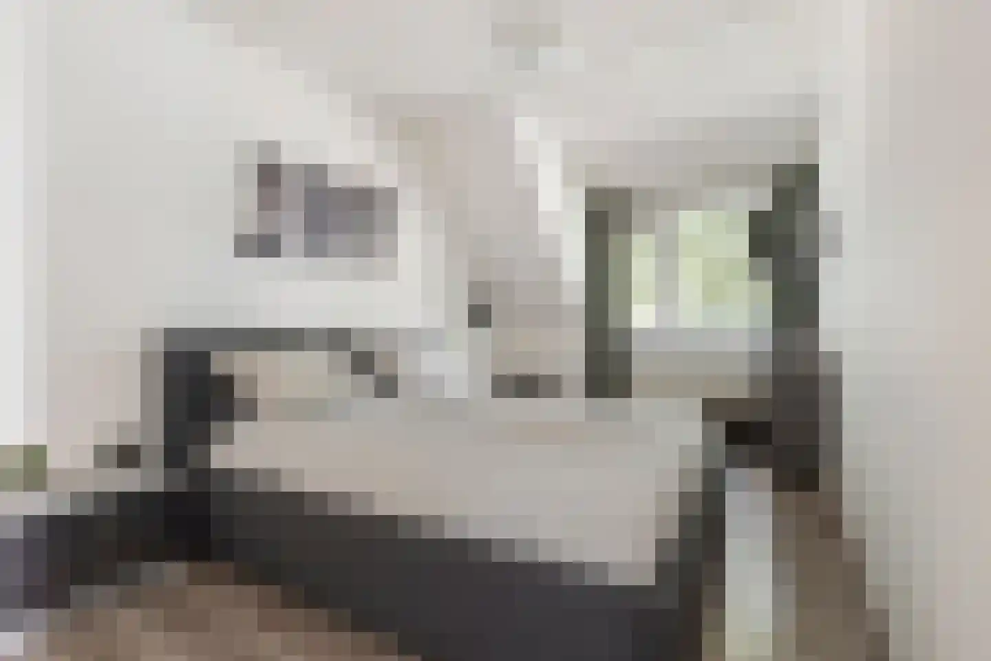 Lisdodde 14 Zuidhorn thumbnail 22