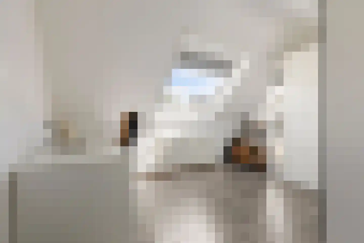 Lisdodde 14 Zuidhorn thumbnail 24