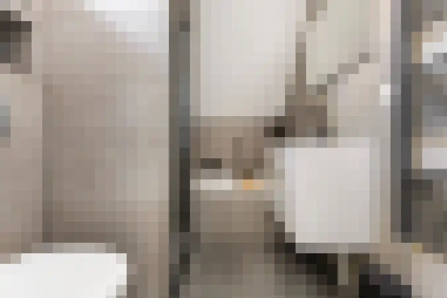 Lisdodde 14 Zuidhorn thumbnail 25