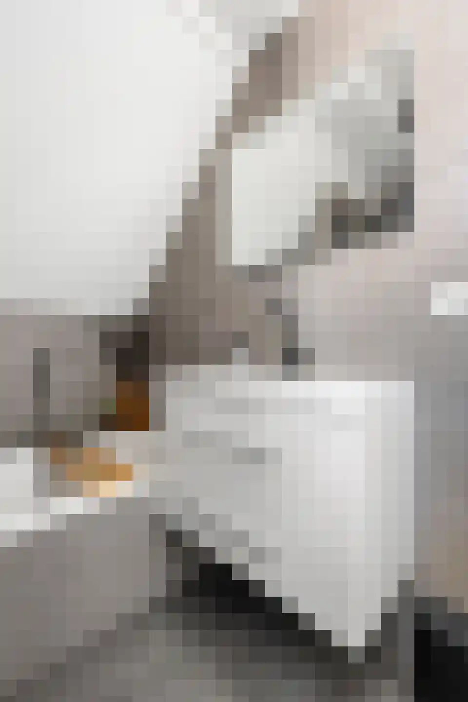 Lisdodde 14 Zuidhorn thumbnail 27