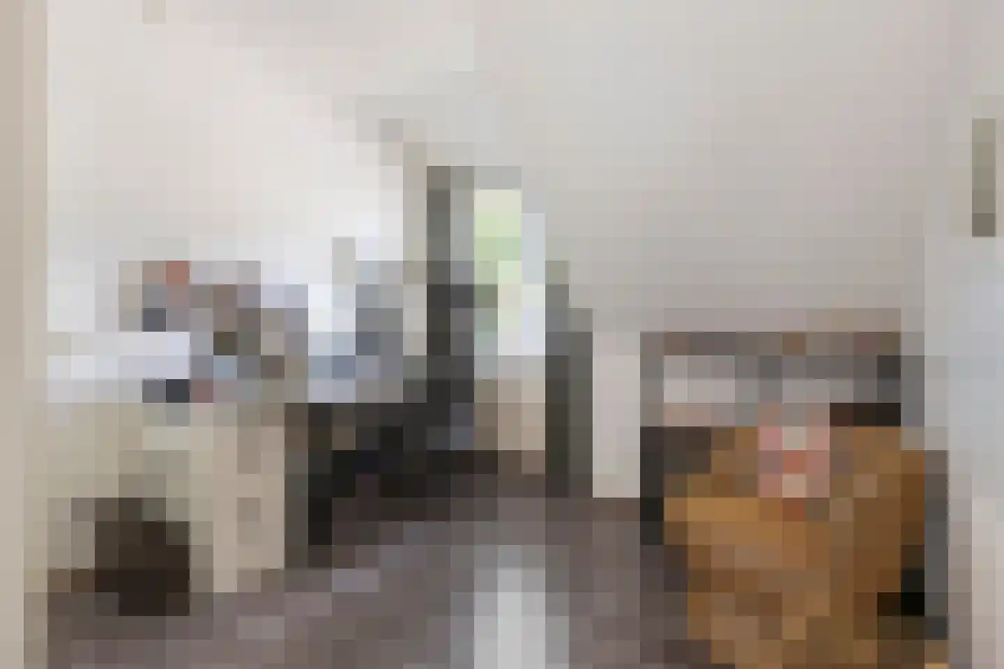 Lisdodde 14 Zuidhorn thumbnail 29