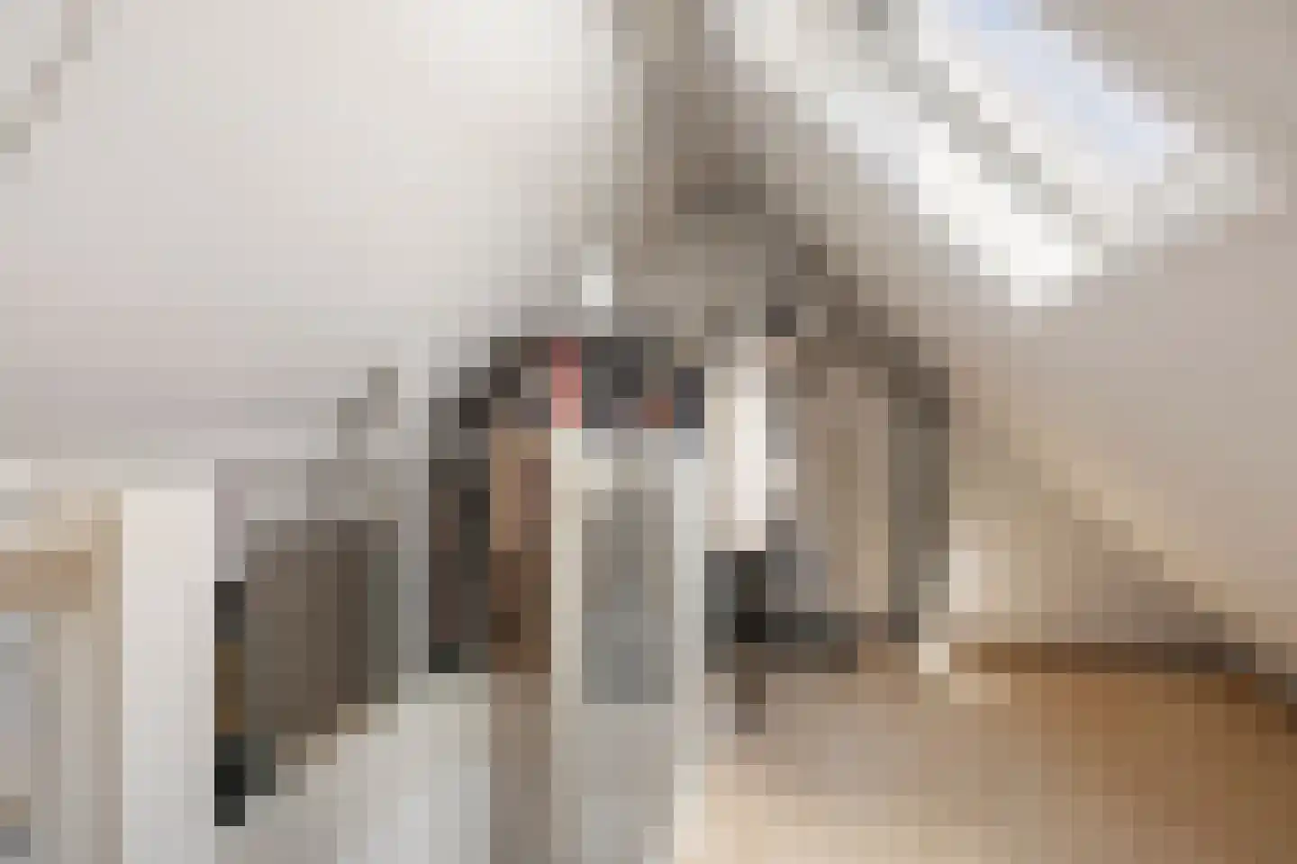 Lisdodde 14 Zuidhorn thumbnail 31