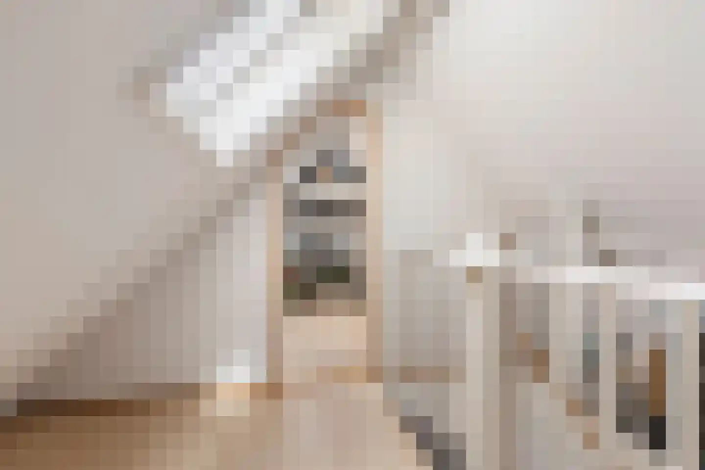 Lisdodde 14 Zuidhorn thumbnail 32