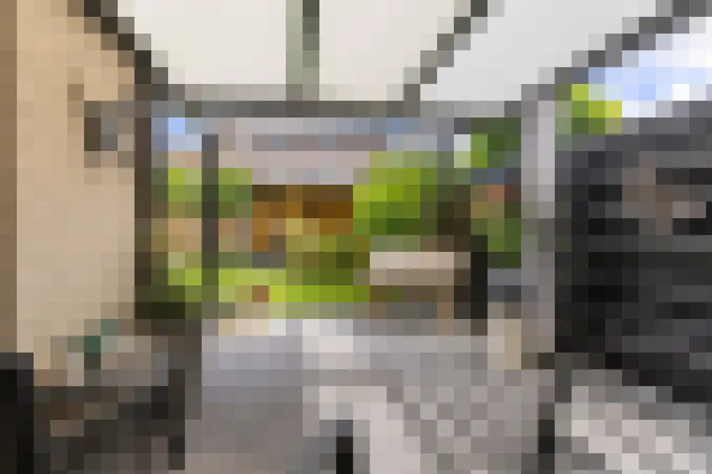 Lisdodde 14 Zuidhorn thumbnail 33