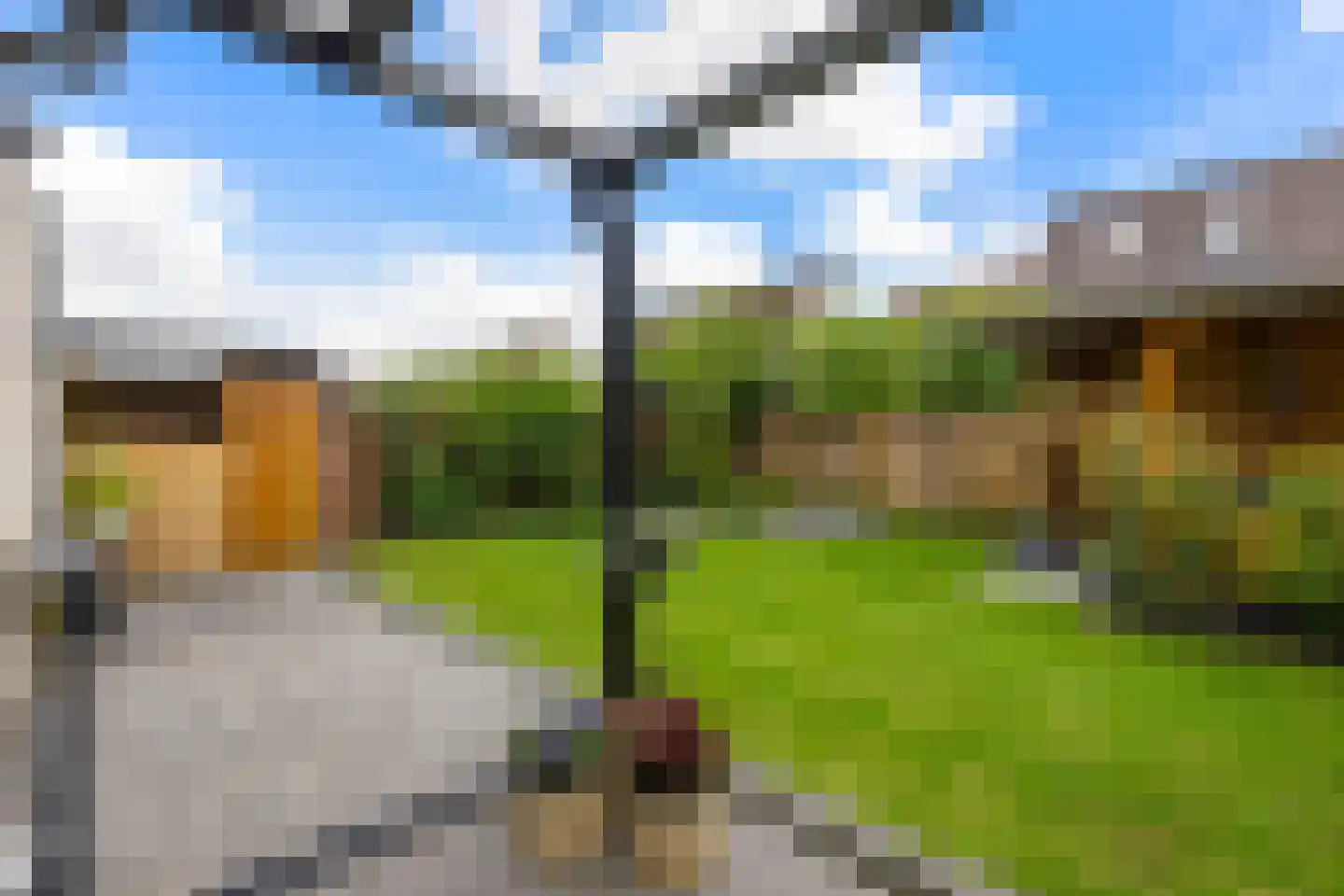 Lisdodde 14 Zuidhorn thumbnail 34