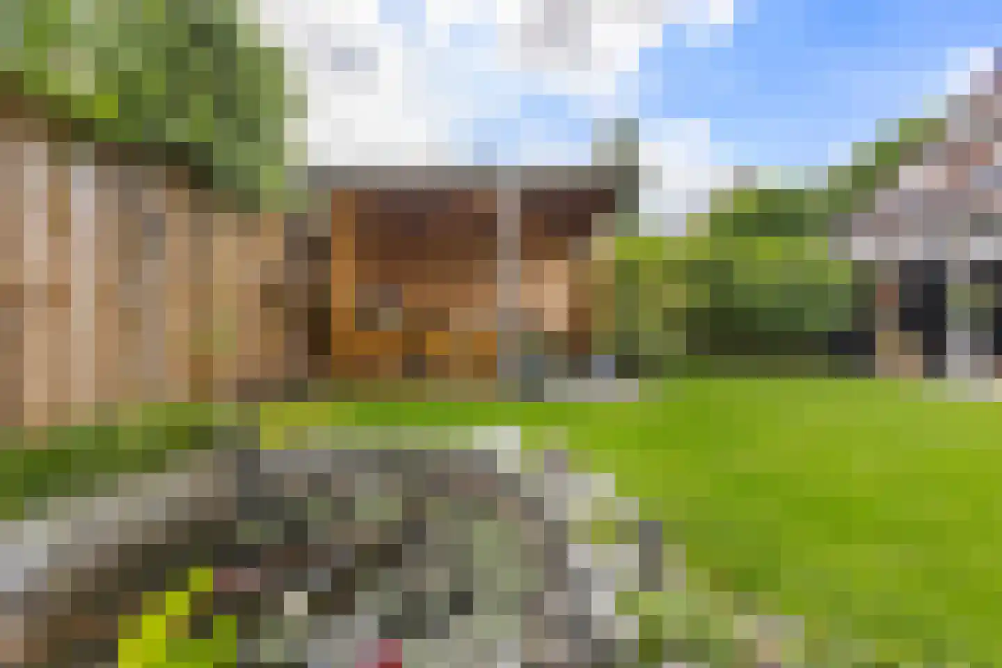 Lisdodde 14 Zuidhorn thumbnail 35