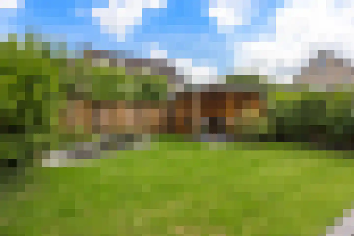 Lisdodde 14 Zuidhorn thumbnail 36