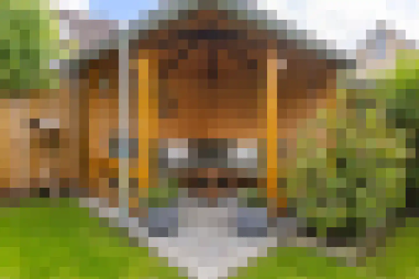 Lisdodde 14 Zuidhorn thumbnail 37
