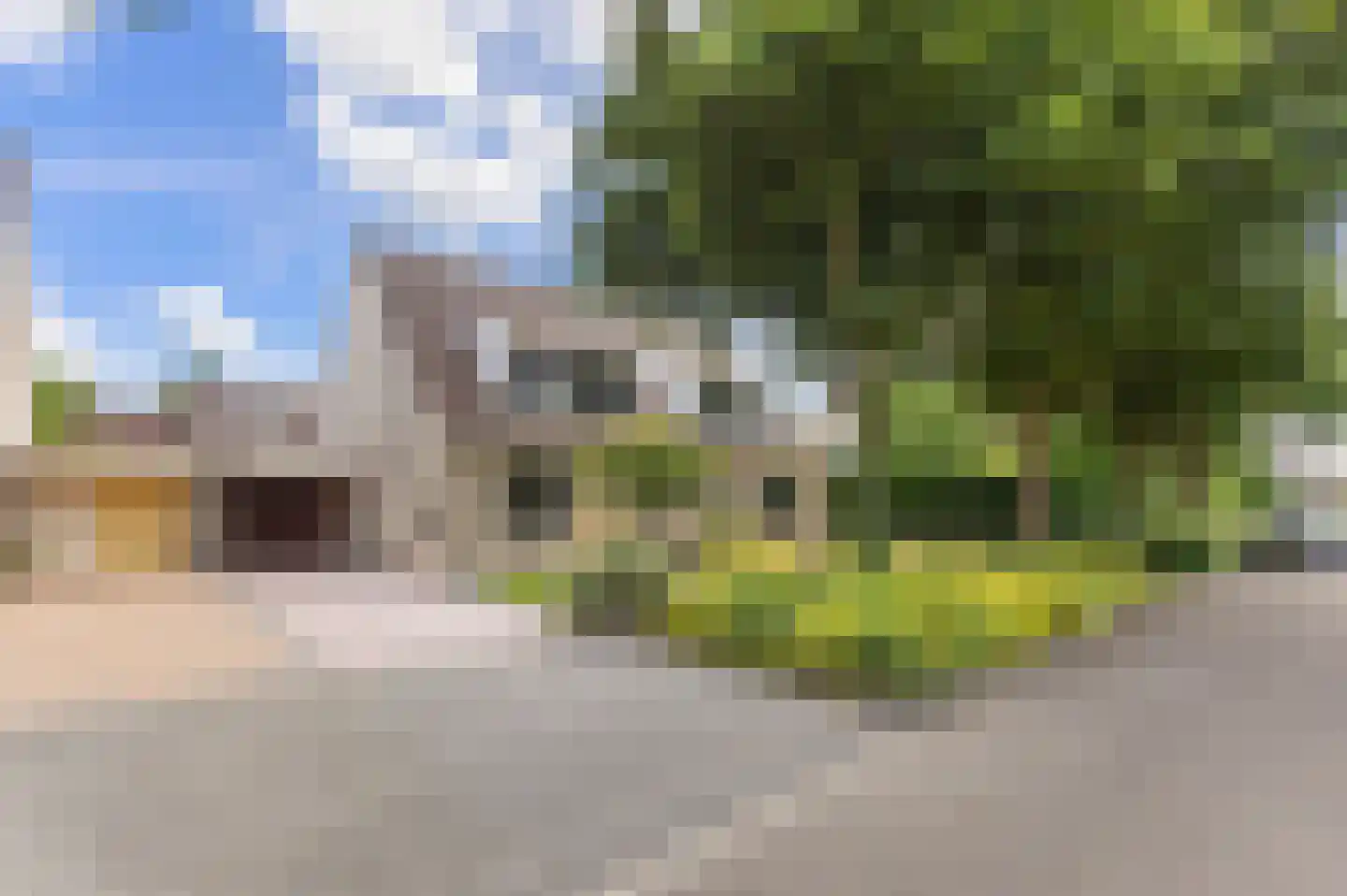 Lisdodde 14 Zuidhorn thumbnail 4