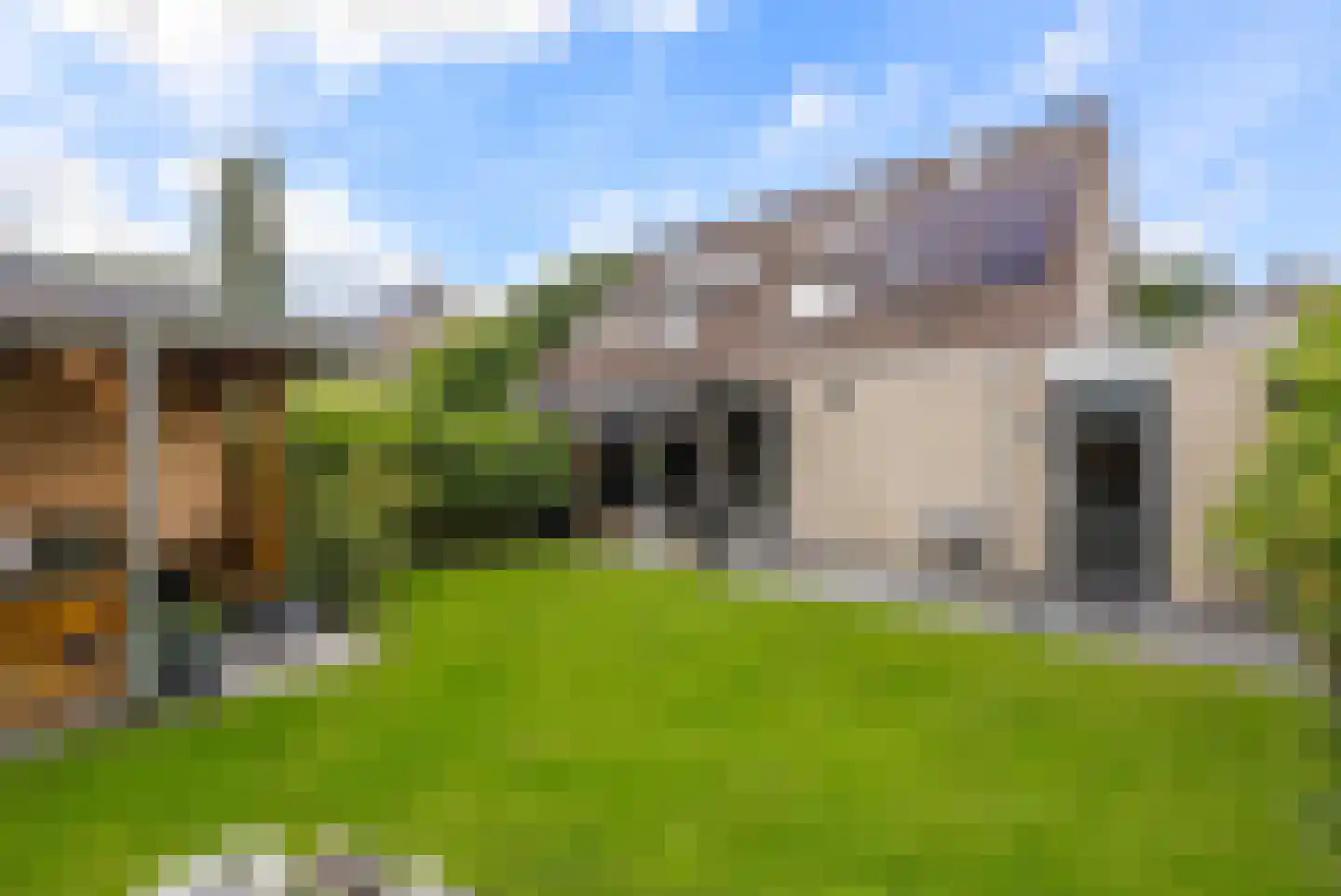Lisdodde 14 Zuidhorn thumbnail 40