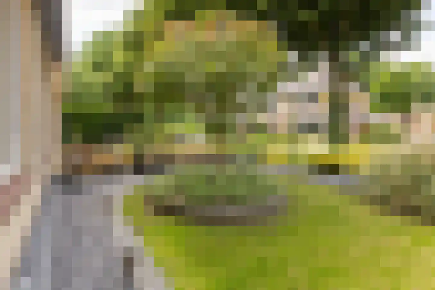 Lisdodde 14 Zuidhorn thumbnail 41