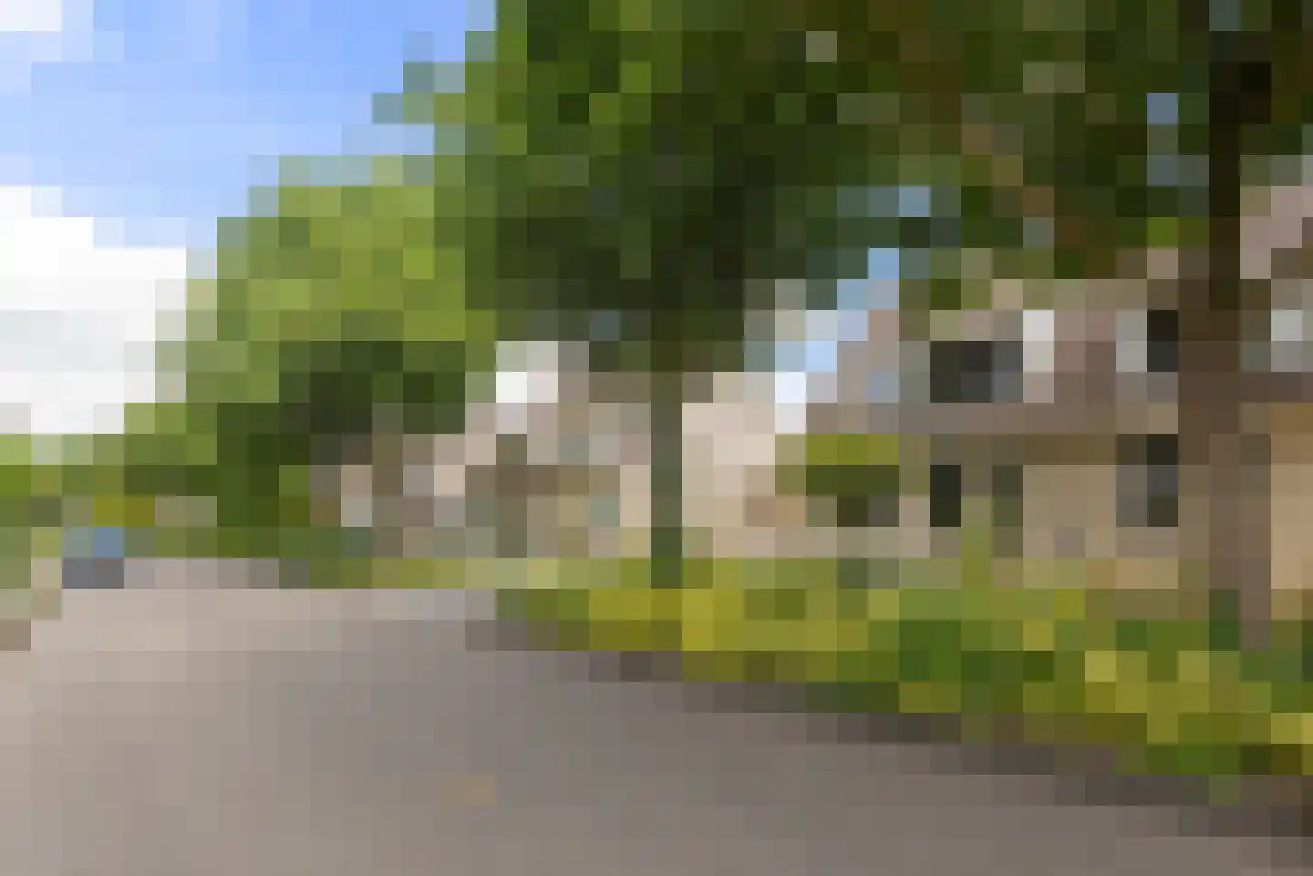 Lisdodde 14 Zuidhorn thumbnail 42
