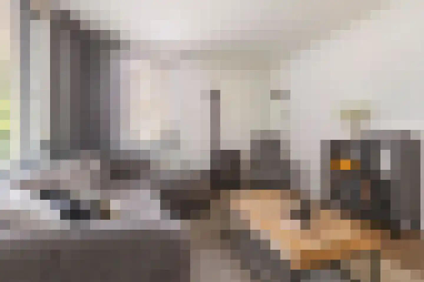 Lisdodde 14 Zuidhorn thumbnail 8