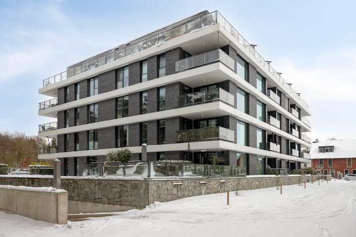 Lisdodde 15-001 in Boxtel Foto