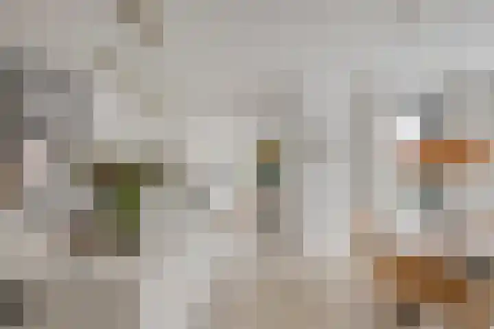 Lisdodde 15 001 Boxtel thumbnail 10