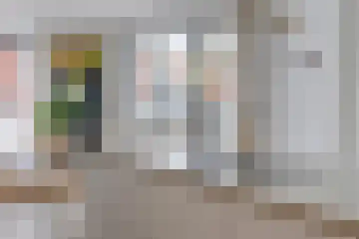 Lisdodde 15 001 Boxtel thumbnail 17