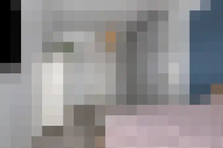 Lisdodde 15 001 Boxtel thumbnail 31