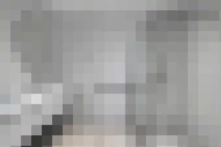 Lisdodde 15 001 Boxtel thumbnail 32