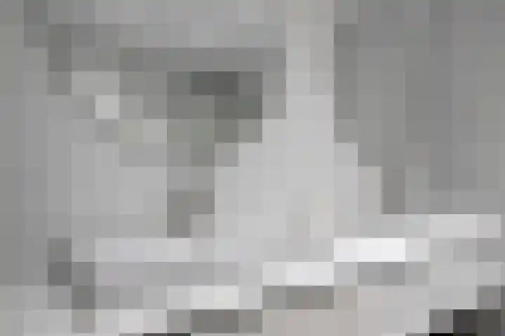 Lisdodde 15 001 Boxtel thumbnail 33