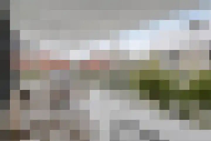 Lisdodde 15 001 Boxtel thumbnail 37