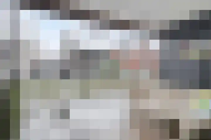 Lisdodde 15 001 Boxtel thumbnail 38