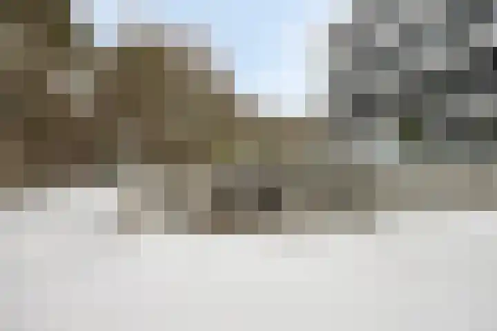 Lisdodde 15 001 Boxtel thumbnail 41