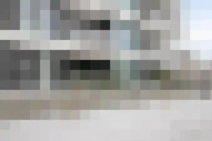 Lisdodde 15 001 Boxtel thumbnail 42